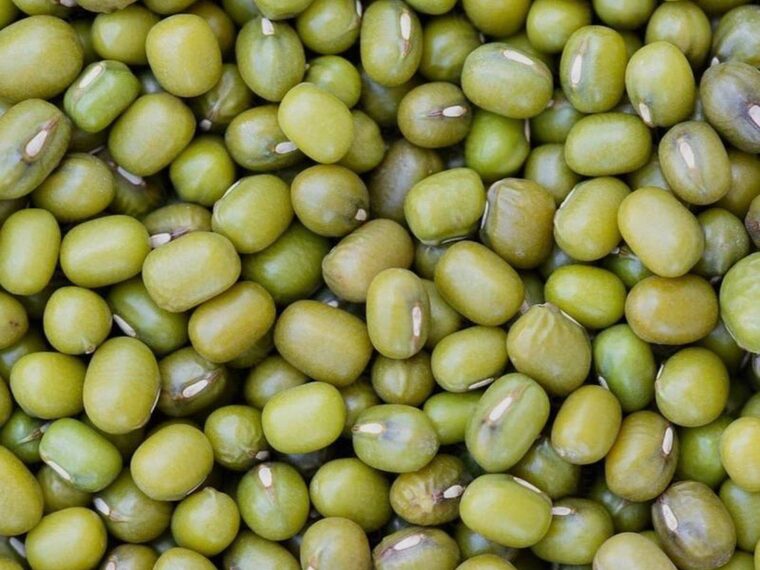 Green mung beans close-up