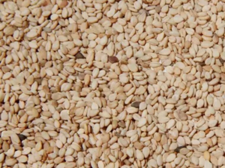 Natural raw sesame